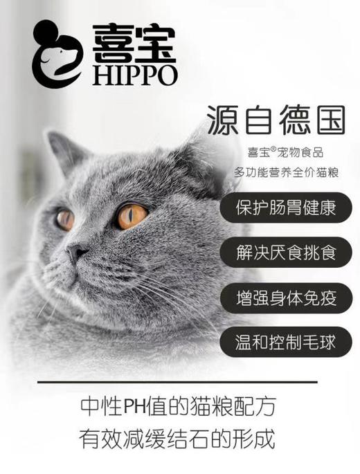 【9.9付邮试吃六包】德国喜宝多功能营养全价猫粮50*6袋JPY带授权招加盟代理 商品图3