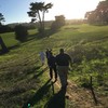 旧金山加利福尼亚高尔夫俱乐部 California Golf Club of San Francisco | 加利福尼亚州高尔夫 | 美国高尔夫俱乐部 CA | 世界百佳 商品缩略图1