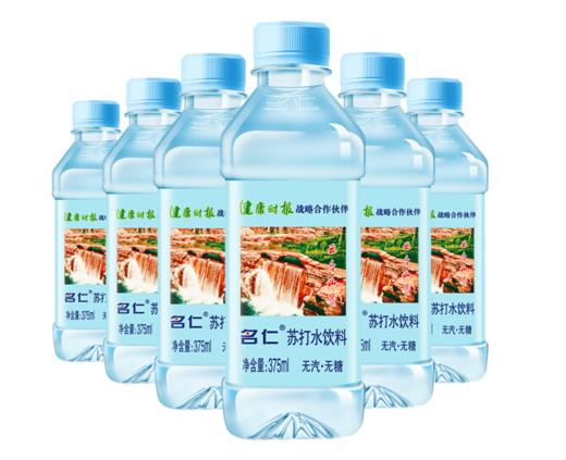【亚欧超市】名仁苏打水375ml 商品图0
