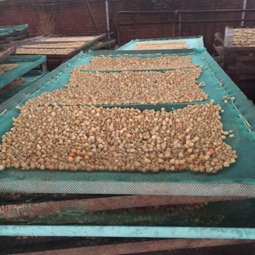 南日岛 优质 干贝500g 商品图5