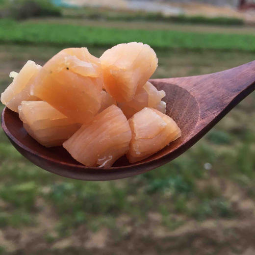 南日岛 优质 干贝500g 商品图1