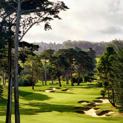 旧金山高尔夫俱乐部 San Francisco Golf Club | 加利福尼亚州高尔夫俱乐部 CA | 美国 商品图1