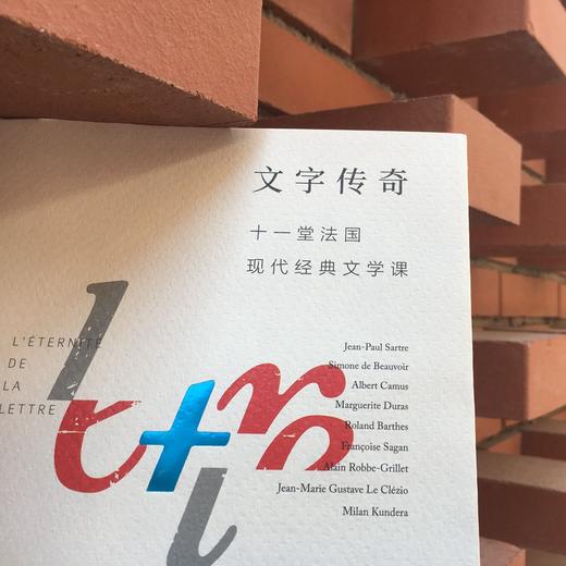 文字传奇 十一堂法国现代经典文学课 袁筱一  法语翻译家、傅雷翻译出版奖得主袁筱一的十一堂法国现代经典文学课 商品图1