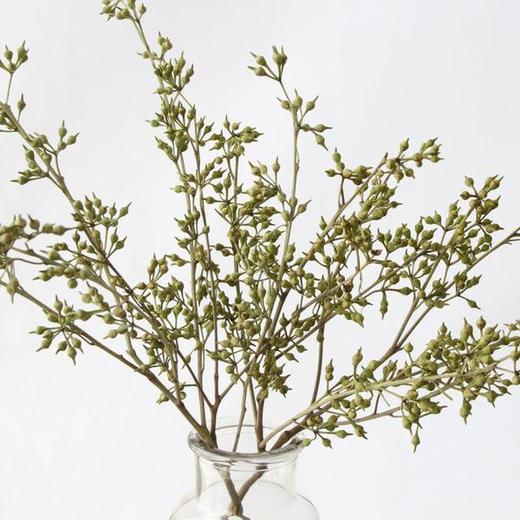 配叶-小米果 商品图0