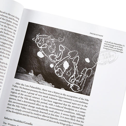 【中商原版】牛津图解古埃及史（牛津插图史系列）英文原版 The Oxford History of Ancient Egypt 历史 非洲史 商品图3