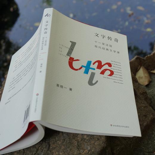 文字传奇 十一堂法国现代经典文学课 袁筱一  法语翻译家、傅雷翻译出版奖得主袁筱一的十一堂法国现代经典文学课 商品图2