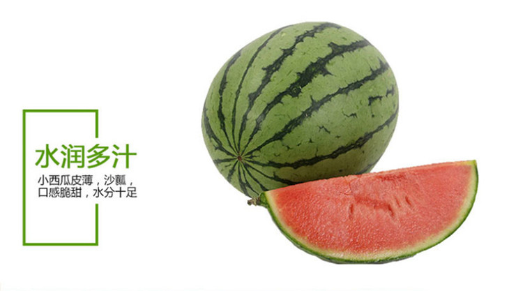 魔雷精品小西瓜253斤头茬瓜皮包果肉脆甜