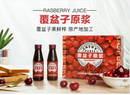 大兴安岭覆盆子原浆（100ml*8瓶）基地直邮 商品图0