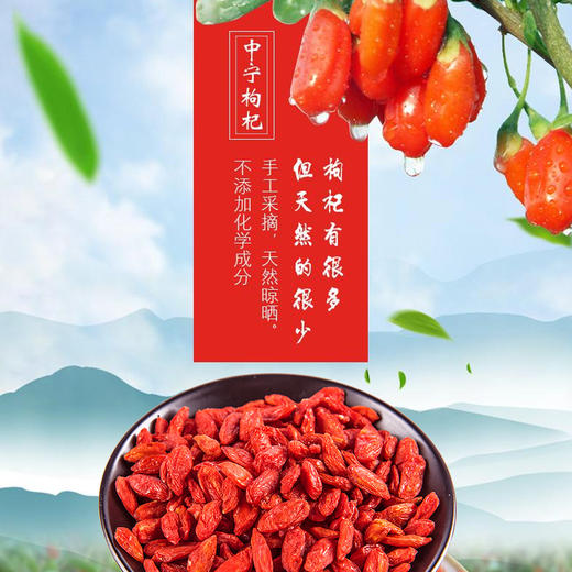 宁夏中宁早康特级枸杞绿色食品头茬新货