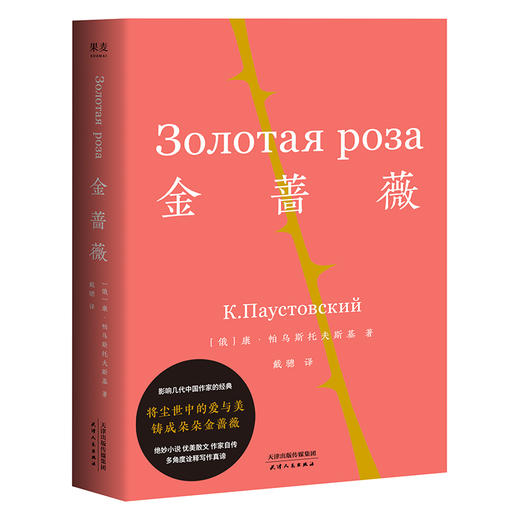 金蔷薇 小说 康 帕乌斯托夫斯基 著 伟大作家的养成之书 作家的自我修养 影响众多中国作家 作家自传 散文集 果麦图书 商品图0