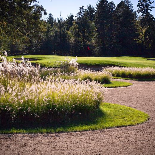 梅朵俱乐部 Meadow Club | 加利福尼亚州高尔夫俱乐部 CA | 美国 商品图2