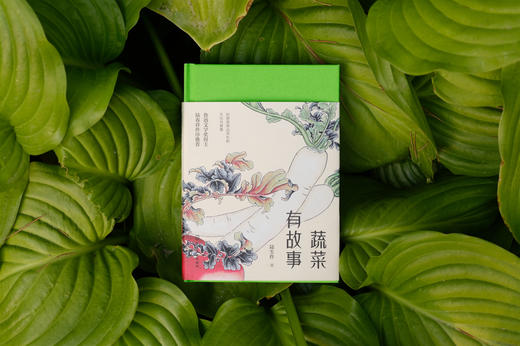 蔬菜有故事 商品图2