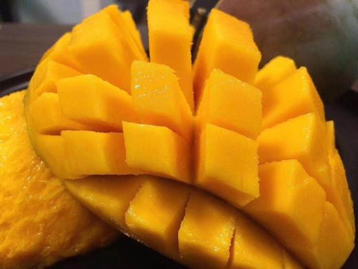 凯特王妃芒果一棵树只选一个的极致2700小时年的阳光宠爱