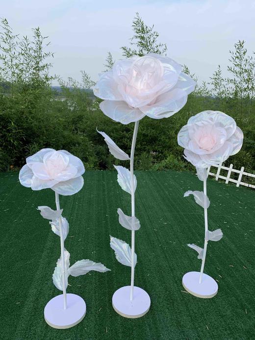 闪光玫瑰【运费自理】 商品图1