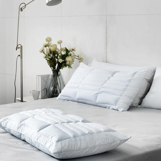 【套装】酒店同款 | 维也纳酒店专享 鹅绒枕头48*70cm+荞麦枕（含枕套） 商品图3