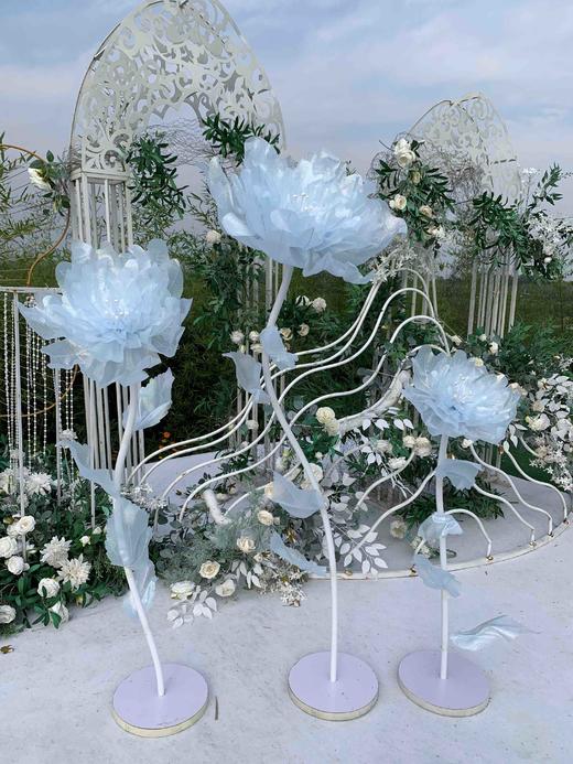 闪光牡丹【运费自理】 商品图5