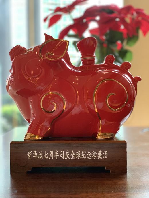 20斤国台酒坛 商品图1