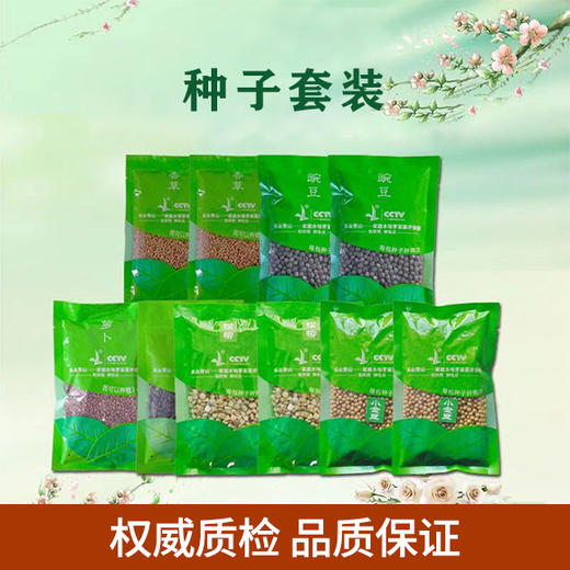时令种子10件套 商品图1