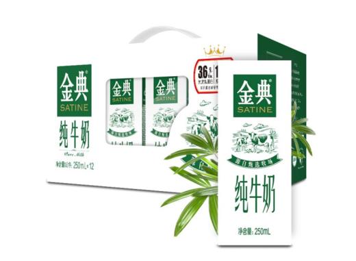 【亚欧超市】伊利金典奶12*250ml 商品图0