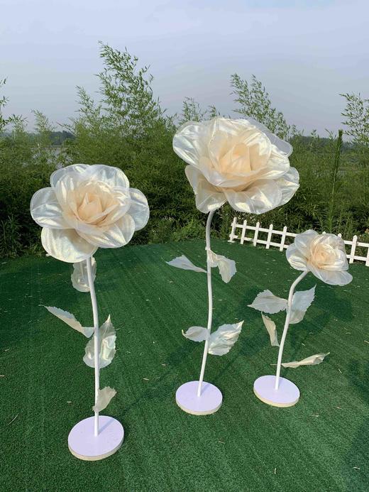 闪光玫瑰【运费自理】 商品图4