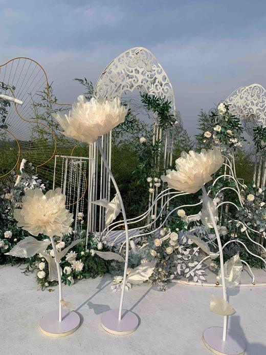 闪光牡丹【运费自理】 商品图3