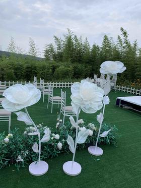 闪光玫瑰【运费自理】