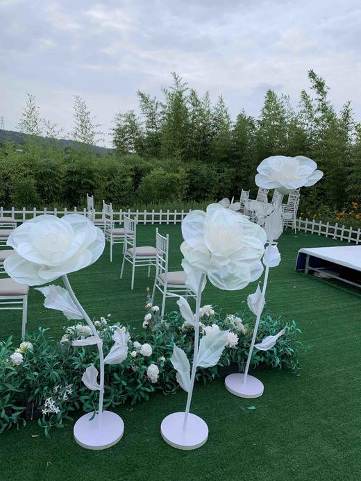 闪光玫瑰【运费自理】 商品图0