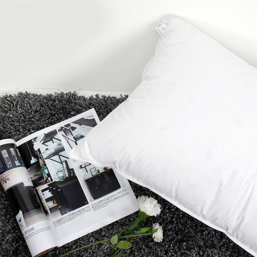 【会员专享】超柔羽丝棉枕芯 羽丝棉内料 家用款 70*48cm（含枕套） 单个装 商品图1