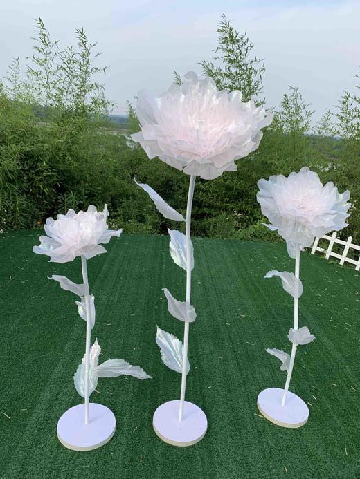 闪光牡丹【运费自理】 商品图1