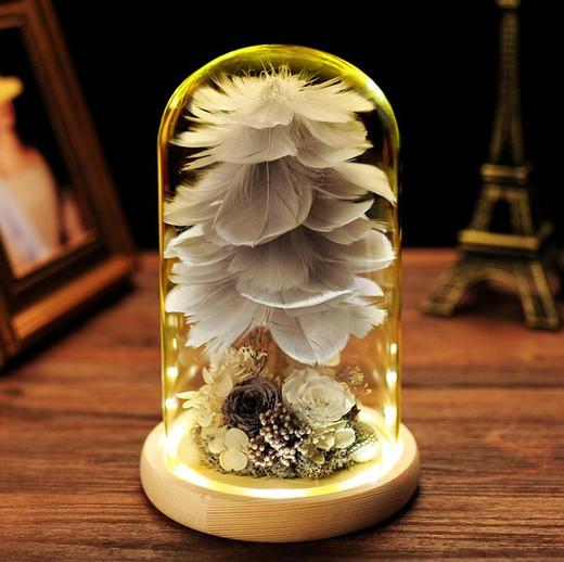 【礼物】创意新款羽毛树永生花玻璃罩礼盒干花花束装饰摆件情人节生日礼物 商品图1