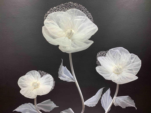 公主花【运费自理】 商品图1