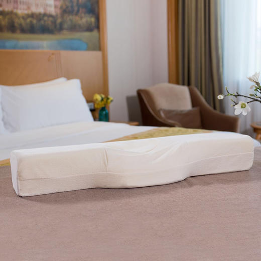 【科学护颈】 维也纳专利记忆枕 颈椎枕 理疗记忆枕 超宽睡感（单个装） 商品图0