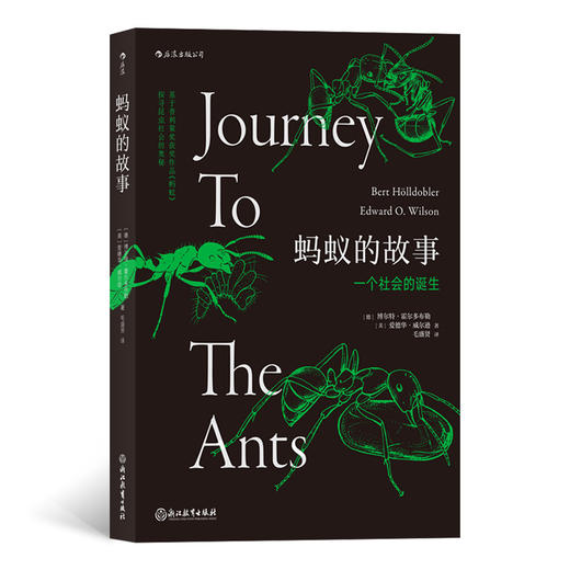蚂蚁的故事（带你探寻昆虫社会的奥秘 全方位讲述蚂蚁的进化历程） 商品图0
