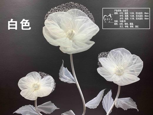 公主花【运费自理】 商品图2