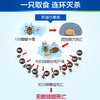 【工厂发货】除蟑螂 德国拜耳拜灭士杀蟑胶饵 5g 蟑螂药 商品缩略图2