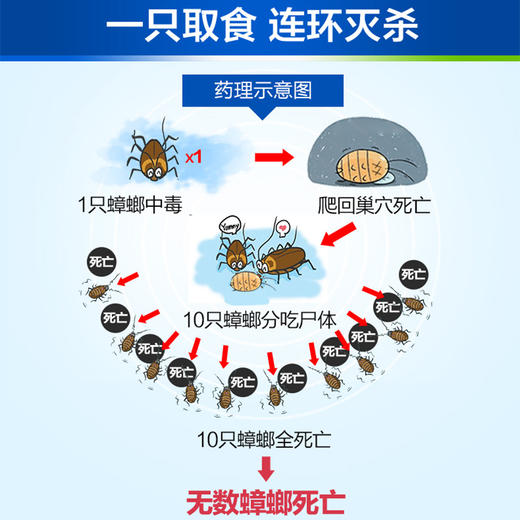 【工厂发货】除蟑螂 德国拜耳拜灭士杀蟑胶饵 5g 蟑螂药 商品图2