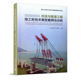 桥梁与隧道工程施工新技术典型案例与分析