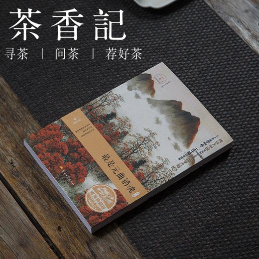 茶香记《最是元曲销魂》 文化读物 解读经典的元曲 领略蕴含在元曲中的人文情怀 商品图0