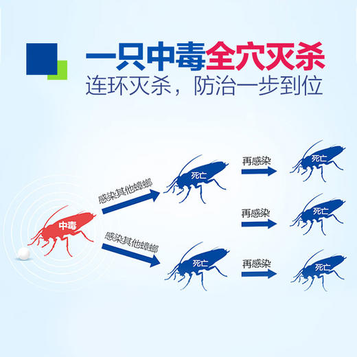 【工厂发货】除蟑螂 德国拜耳拜灭士杀蟑胶饵 5g 蟑螂药 商品图3
