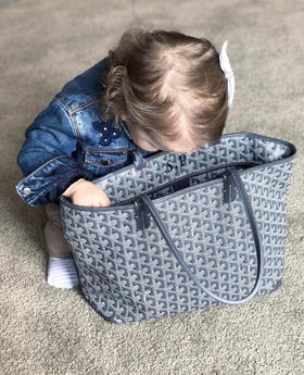 Goyard The Saint Louis中号 迷你号 四色