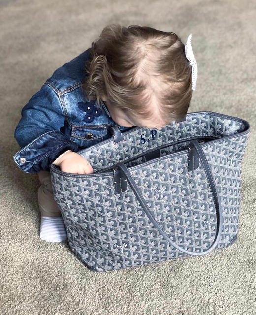 Goyard The Saint Louis中号 迷你号 四色 商品图0