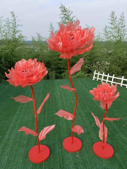 闪光牡丹【运费自理】 商品图2