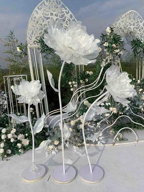 闪光牡丹【运费自理】