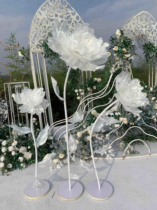 闪光牡丹【运费自理】 商品图0