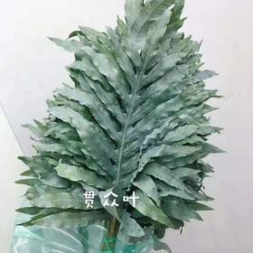 配花-贯众叶-10支