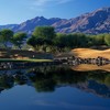 北戴体育馆场（Pete Dye Stadium Course）PGA西部俱乐部-The Club at PGA West | 加利福尼亚州高尔夫俱乐部 CA | 美国棕榈泉 商品缩略图4