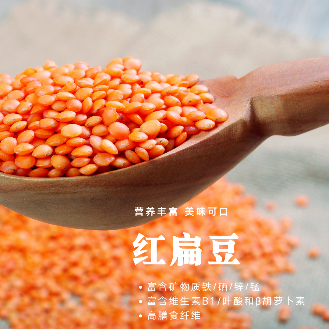 红小扁豆/红奴豆  富含优质蛋白质 高膳食纤维 孕妇补铁叶酸