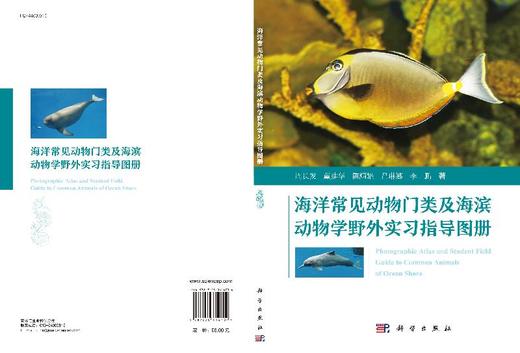 海洋常见动物门类及海滨动物学野外实习指导图册 商品图3