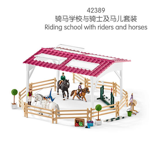 思乐骑马学校与骑士及马儿套装42389 商品图0