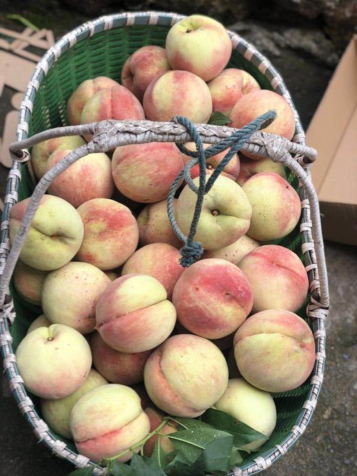 来自浙江丽水的新川中岛桃